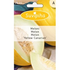 Melon Yellow Canarian SALE - 70%!