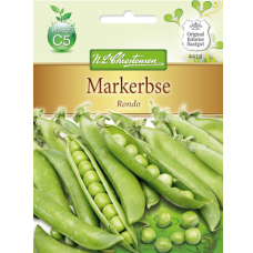 Silpoydinherne Rondo (Pisum sativus) NEW! Silpoydinherne Rondo (Pisum sativus) NEW!