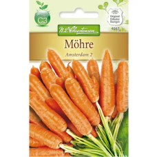 Porkkana Amsterdam 2 (Daucus carota) NEW! Porkkana Amsterdam 2 (Daucus carota) NEW!