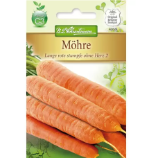 Porkkana Berlikumer 2 (Daucus carota)