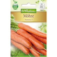 Porkkana Nantaise 2 (Daucus carota) NEW!