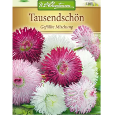 Callistephus Tausendshön Mix. 20 gr.