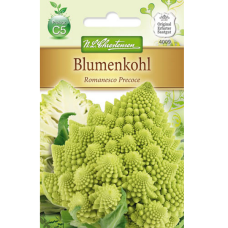Brassica oleracea, Cauliflower Romanesco precoce