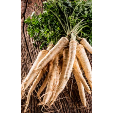 Root Parsley Petroselinum crispum - Apiaceae 'Halblange', 100 gr 