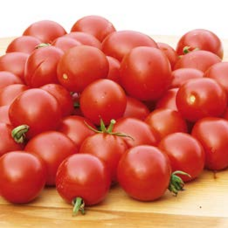 Lycopersicon Lycopersicon,Tomato F1 'Biliardino', 1000 s.