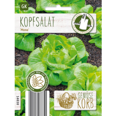 Salaatti Mona (Lactuca sativa) NEW!