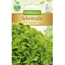 Lehtisalaatti Grünetta (Lactuca sativa) NEW!