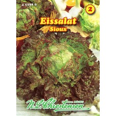 RAPEA KERÄSALAATTI 'Brune d’hiver' 