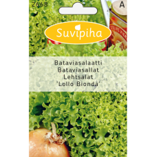 Batavia Lettuce Lollo Bionda