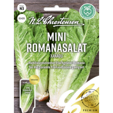 Romaine lettuce Mini 'Xanadu', NEW! PREMIUM