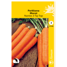 Carrot Nantes 3 Tip Top