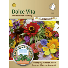 Mixture of summer cut flowers Dolce Vita, seed tape