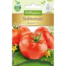 Tomato Harzfeuer, F1 (Solanum lycopersicum) NEW!