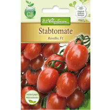 Plum tomato Ravello F1 (Solanum lycopersicum)
