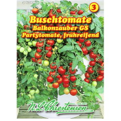 Party tomato 'Balkonzauber' (Solanum lycopersicon)