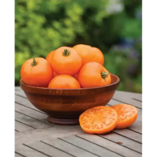 Pihvitomaatti Orange Wellington F1 (Solanum lycopersicum) ALE - 65%!