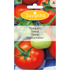 Tomaatti 'Moneymaker'