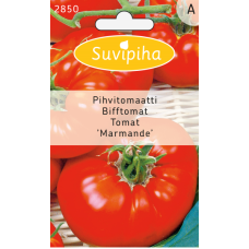 Tomaatti Marmande, pihvitomaatti