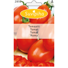 Tomaatti Roma