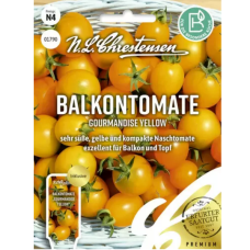 Tomato Gourmandise Yellow (Lycopersicon esculentum)