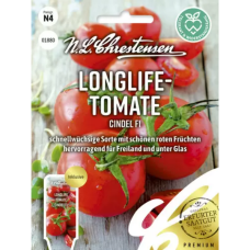 Tomaatti Cindel F1 (Lycopersicum esculentum)